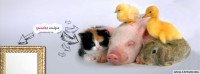 /album/capa-de-facebook/a0227-capas-para-facebook-jpg/